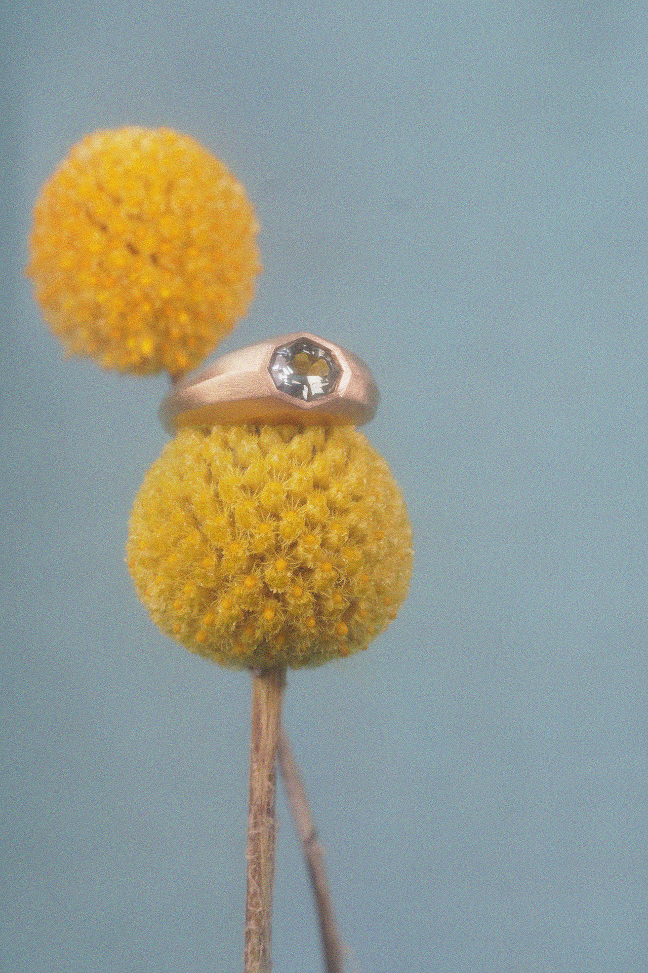 Belle Ring